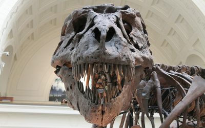 Printwerbung in Fachzeitschriften: Der Dinosaurier lebt – und es geht ihm gut